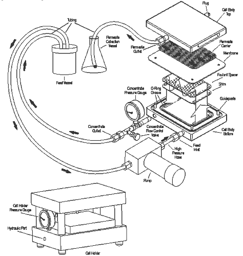 Sepa2