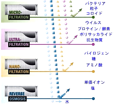 pharma-1